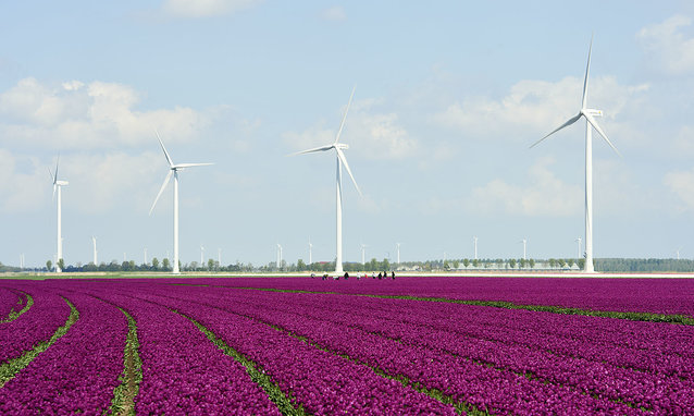 Repower 3.4M im Windpark Zuidlob in Flevoland , NL