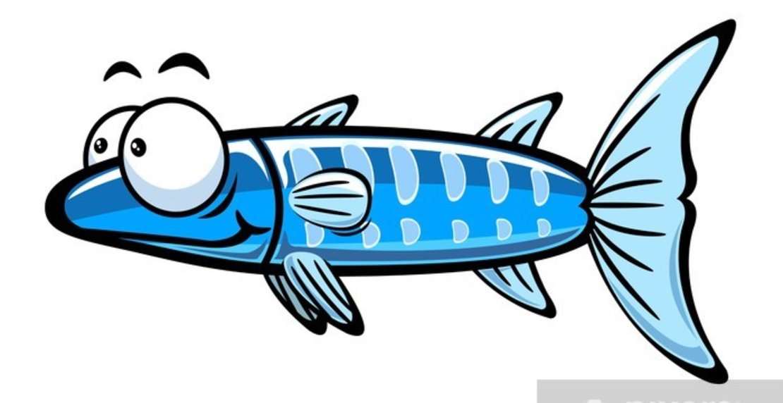 cartoon fish