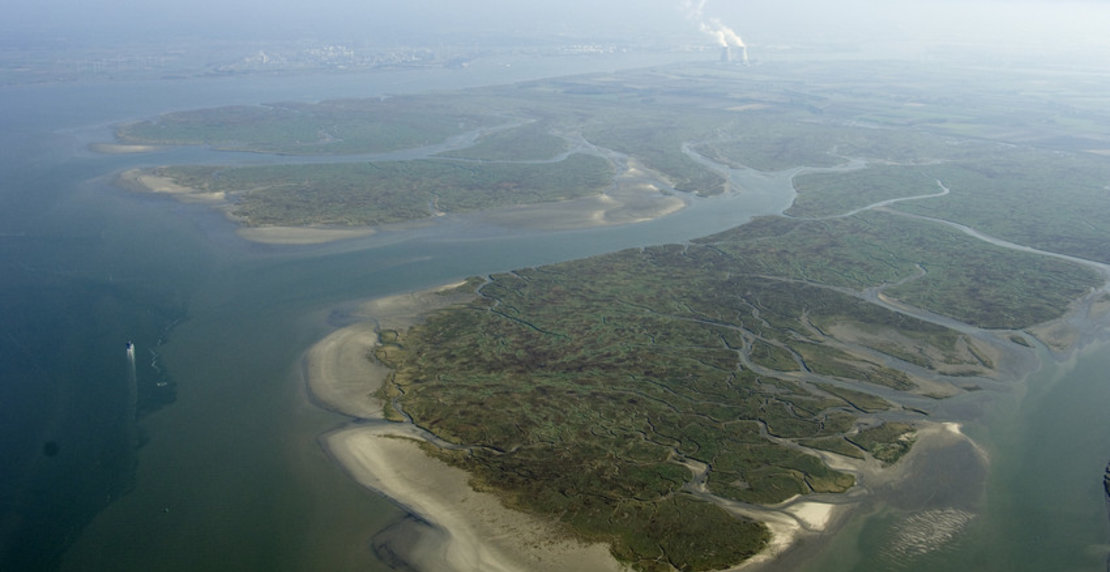 Belgium - Maintenance and Deepening Works in the Western Scheldt and the Scheldt Estuary - 10/10/2008