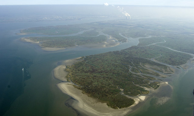 Belgium - Maintenance and Deepening Works in the Western Scheldt and the Scheldt Estuary - 10/10/2008