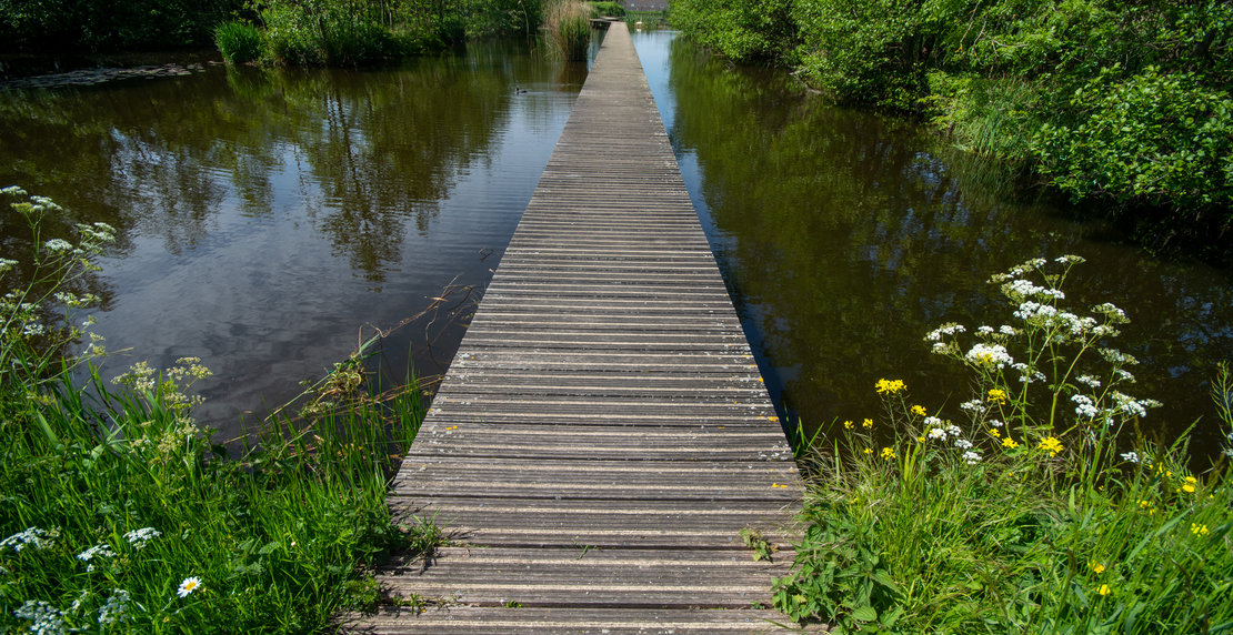 Old wooden pier in nature trail