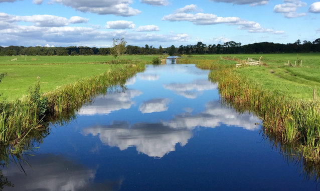 Dutch canal and grass Landscape