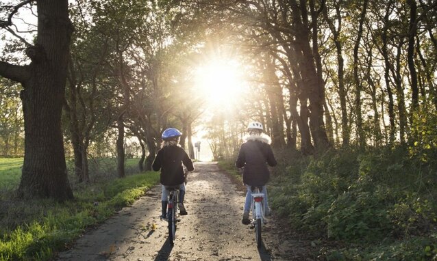 Free cycling into the light image, public domain nature CC0 photo.