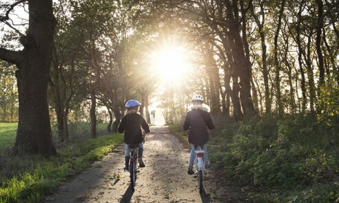 Free cycling into the light image, public domain nature CC0 photo.