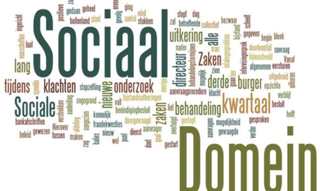 wordle Sociaal Domein