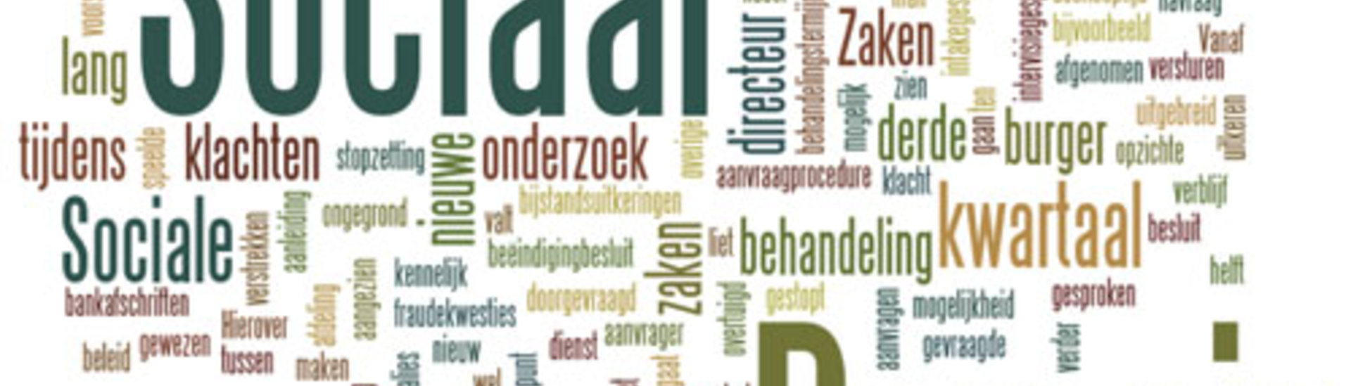 wordle Sociaal Domein